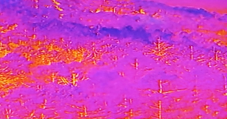 تقنية التصوير الحراري بالأشعة تحت الحمراء